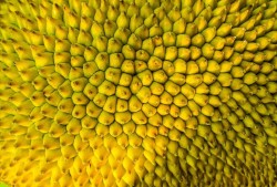 蓝莓视频app成人版高清观看推荐