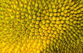 成人App推荐大全：提升你的生活品质