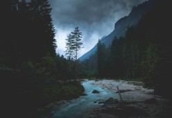向日葵成人APP：畅享无限精彩视频体验